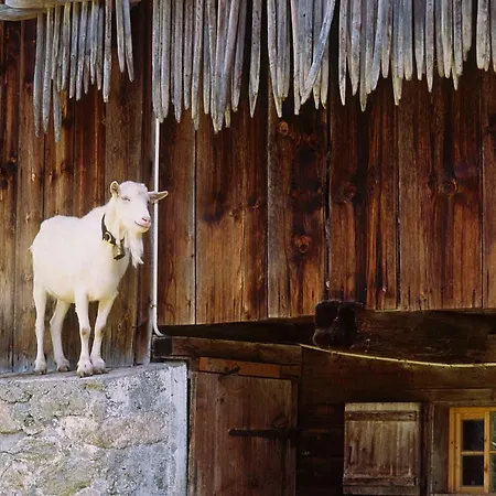 Bed & Breakfast Haus Karin