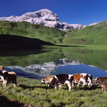 Frühstückspension Haus Karin