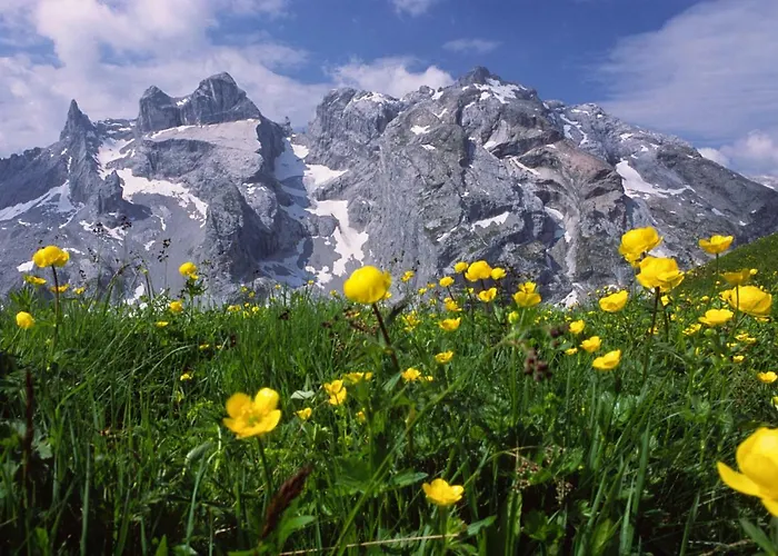 Haus Karin 3* Sankt Gallenkirch